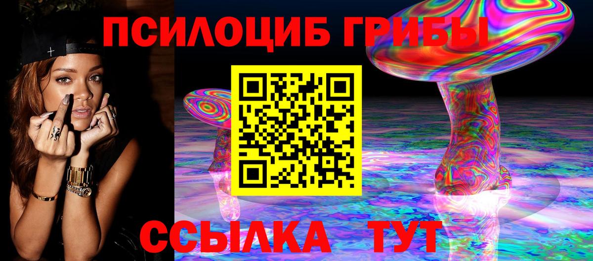 Псилоцибиновые грибы Psilocybe  Вход с VPN  Усолье-Сибирское 