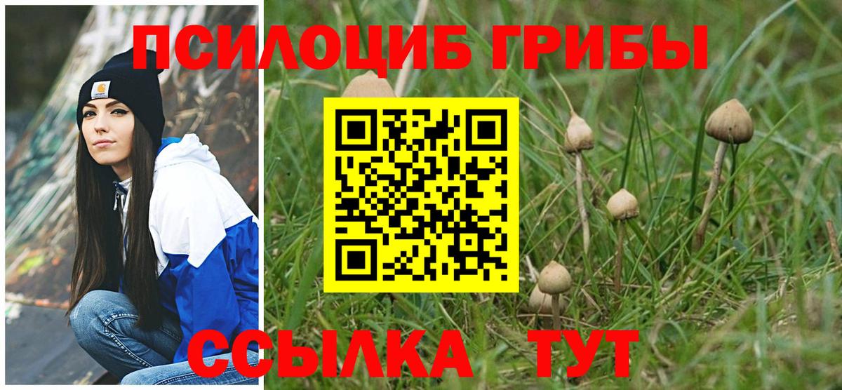 Псилоцибиновые грибы мухоморы Усолье-Сибирское